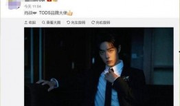 肖战李宁爆料最新消息,揭秘合作背后的故事与幕后真相