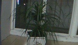 桂林人论坛最新爆料,揭秘桂林神秘事件真相！