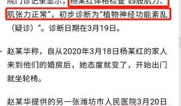 杨晓红家暴最新爆料,最新爆料揭露惊人内幕