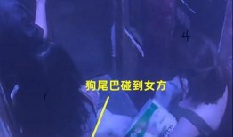 情侣最新事件爆料视频,揭秘幕后真相，视频爆料引发热议